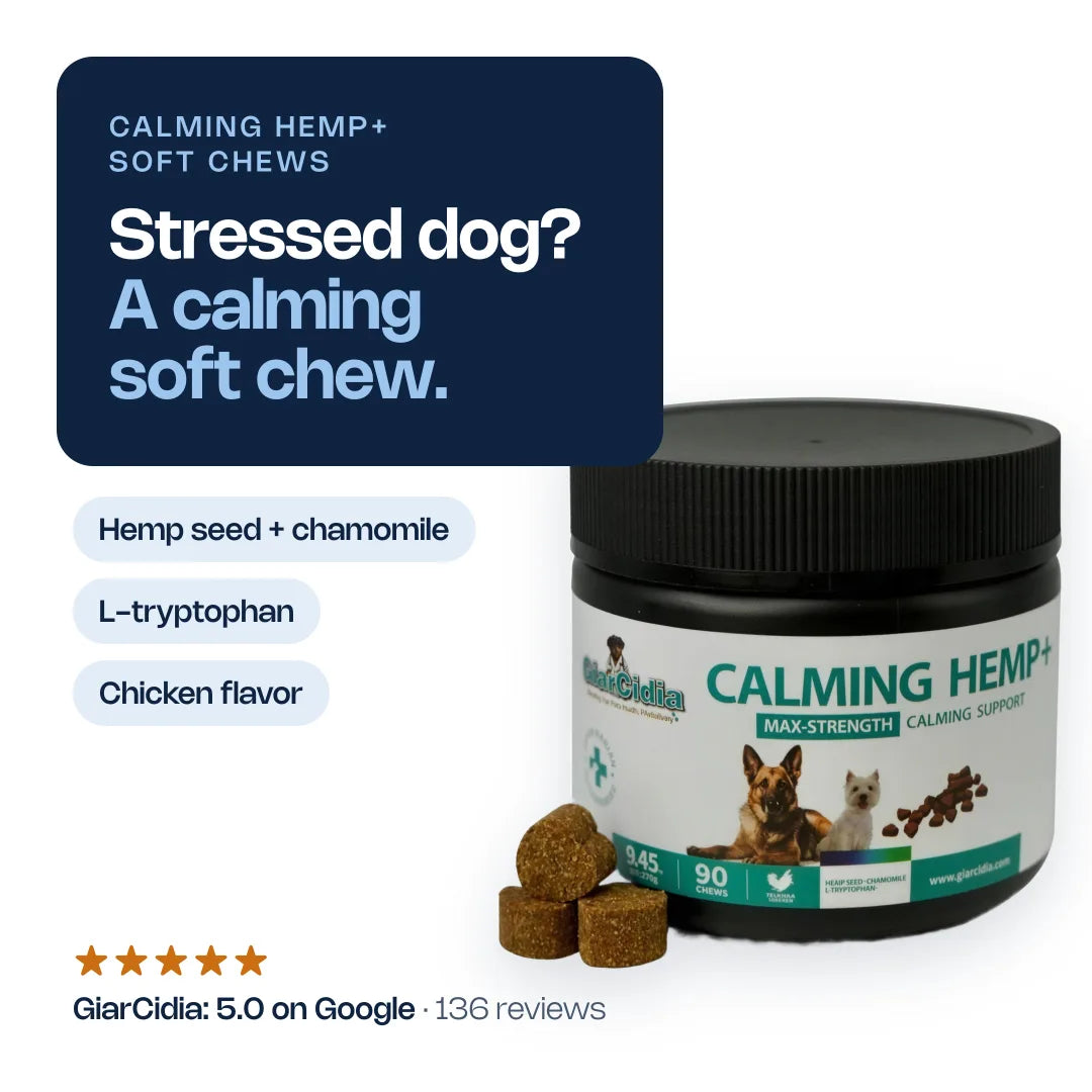 GiarCidia Comfort Chews