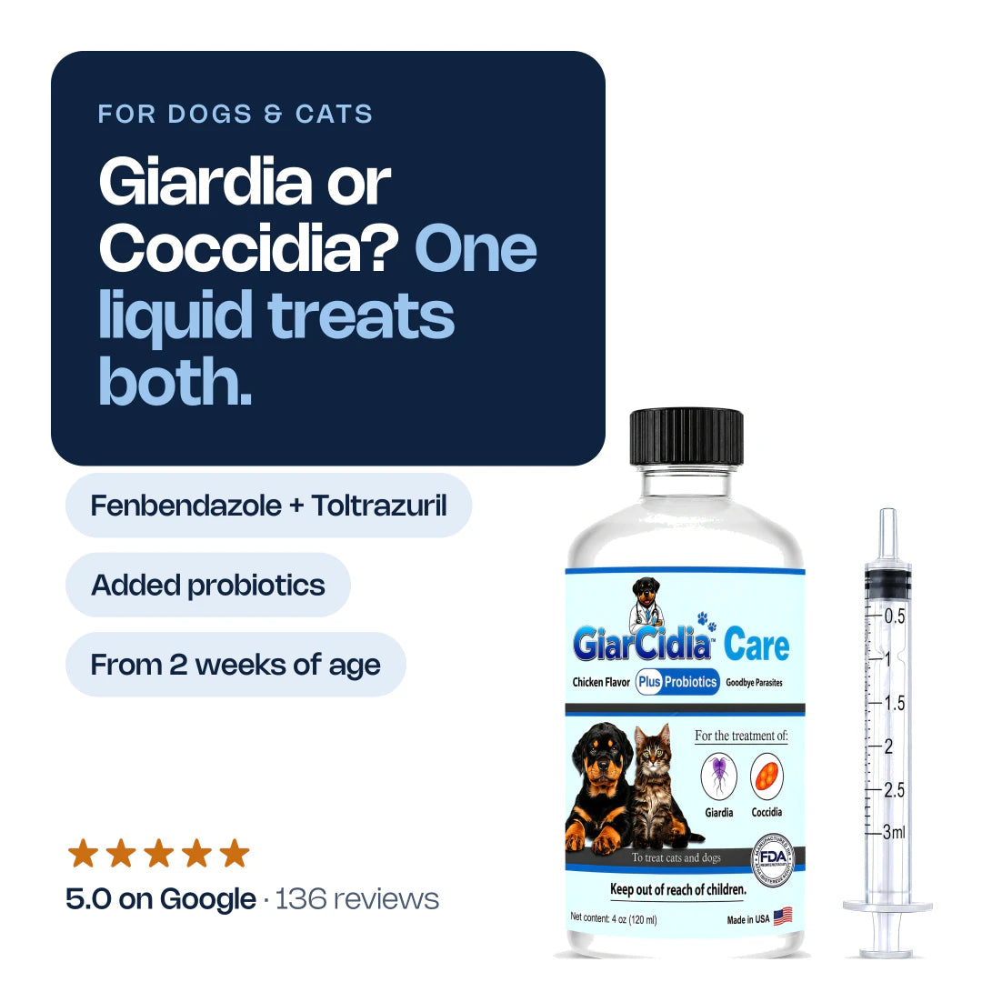 GiarCidia CARE: one liquid for Giardia and Coccidia, with added probiotics