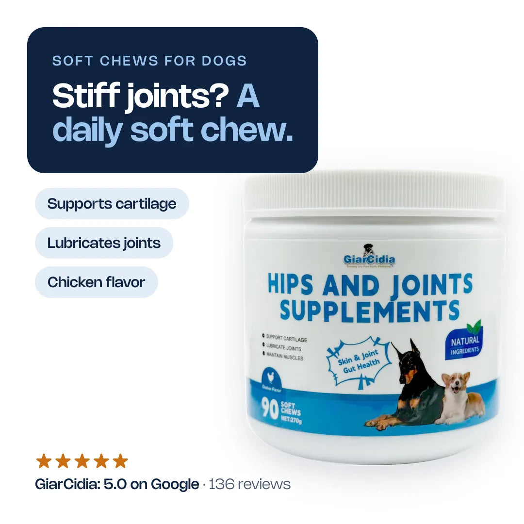GiarCidia Hip & Joint Chews