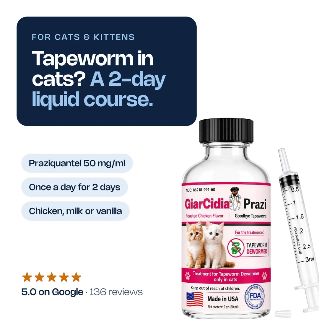 GiarCidia Prazi for Cats: tapeworm, cats and kittens, made in the usa