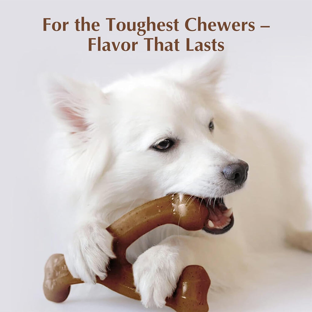 GiarCidia Tough Chew Toy for Dogs
