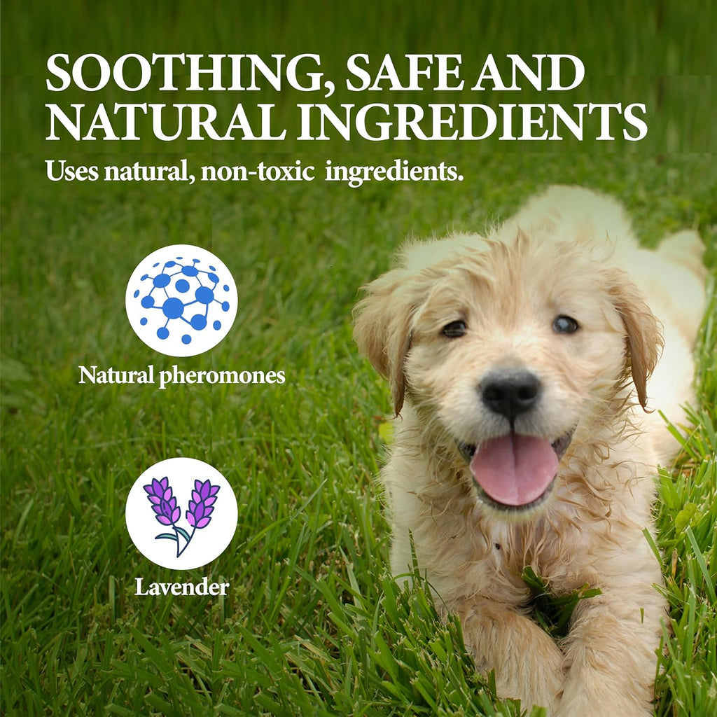 GiarCidia Calming Collar for Dogs