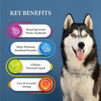 GiarCidia Broad-Spectrum Dewormer for Dogs – Roundworm, Hookworm & Whipworm