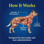 GiarCidia Broad-Spectrum Dewormer for Dogs – Roundworm, Hookworm & Whipworm