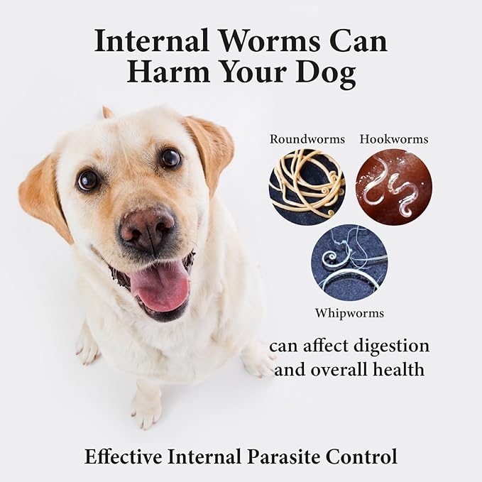 GiarCidia Broad-Spectrum Dewormer for Dogs – Roundworm, Hookworm & Whipworm