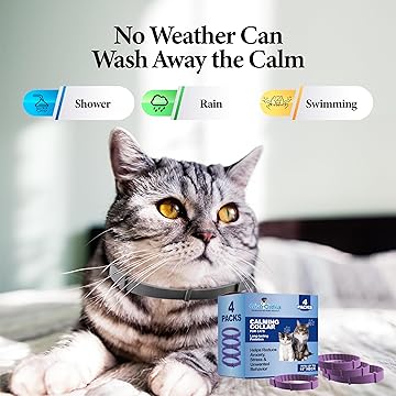 GiarCidia Calming Collar for Cats