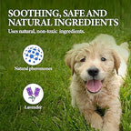 GiarCidia Calming Collar for Dogs – 4 Pack