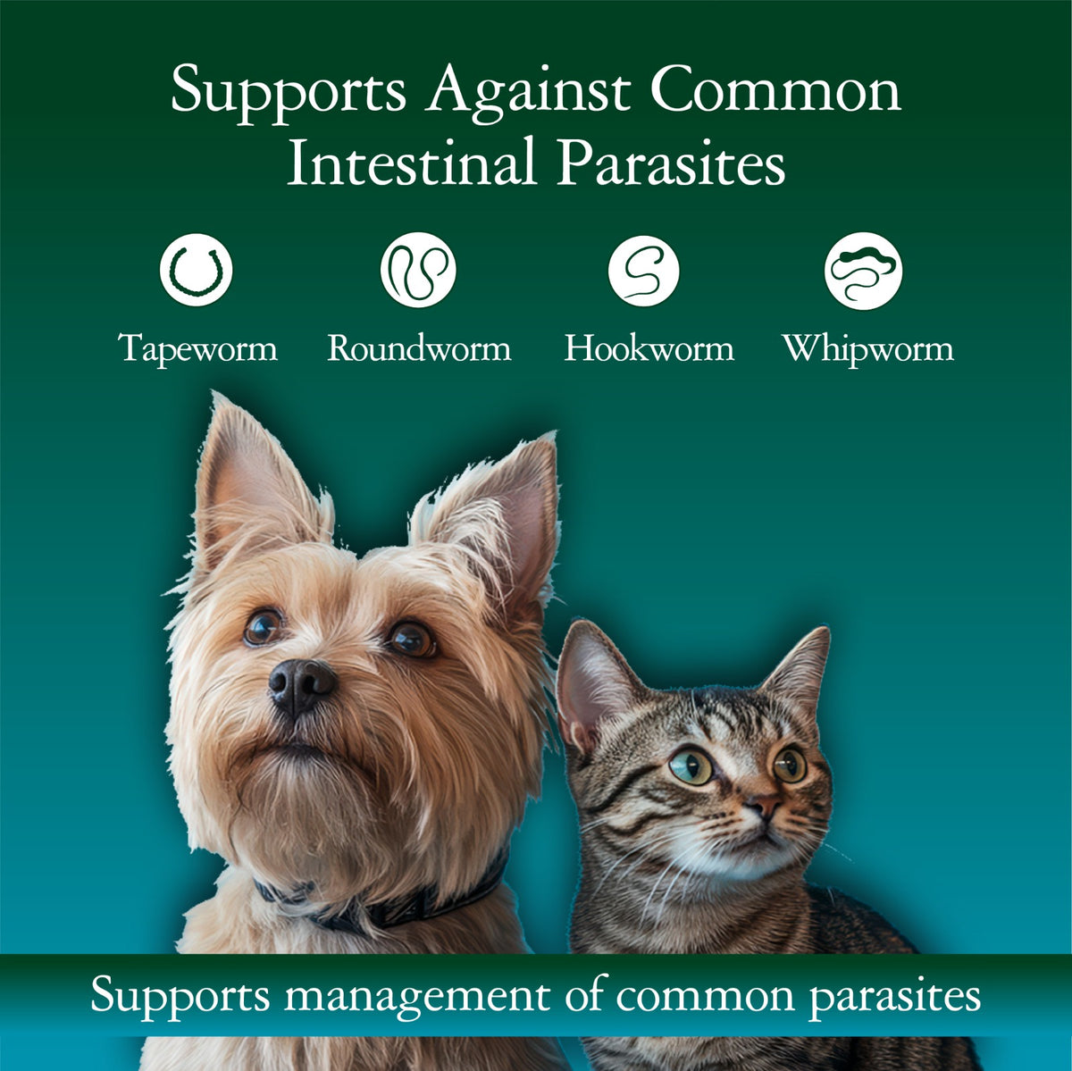 GiarCidia Fen-Wormer 2-Pack + Free Hip & Joint Chews