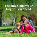 GiarCidia Calming Collar for Dogs – 4 Pack