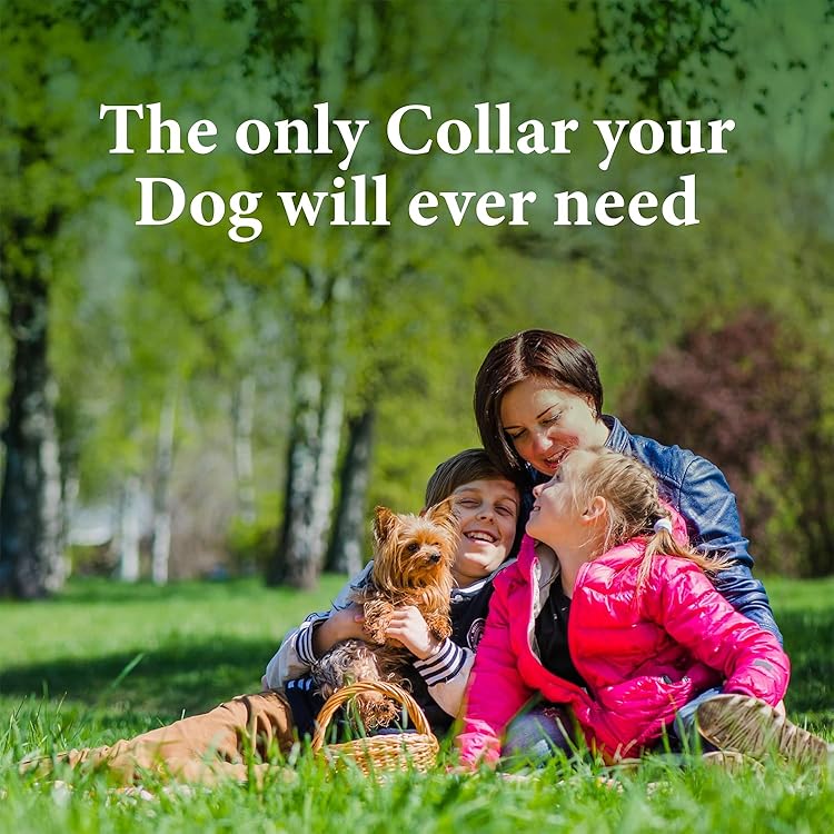 GiarCidia Calming Collar for Dogs – 4 Pack