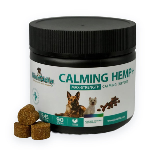 GiarCidia Comfort Chews for Dogs – Calming Soft Chews