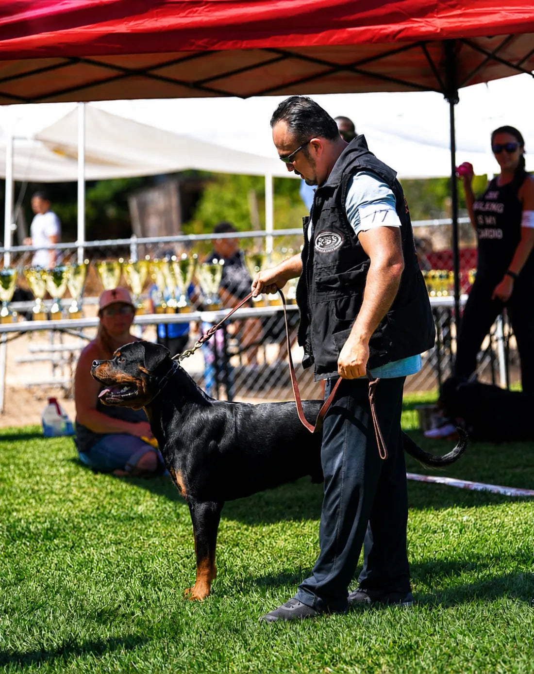 Frank Bustos showing one of his Rottweilers